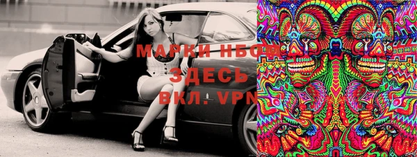 прущий лед Алзамай