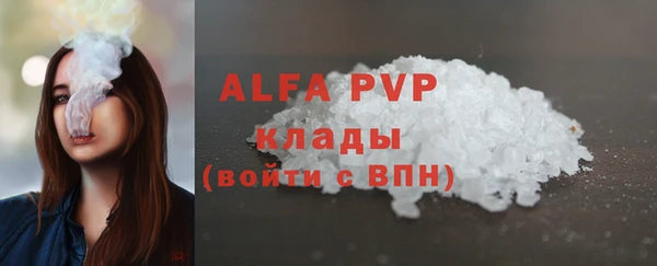 сатива Грязовец