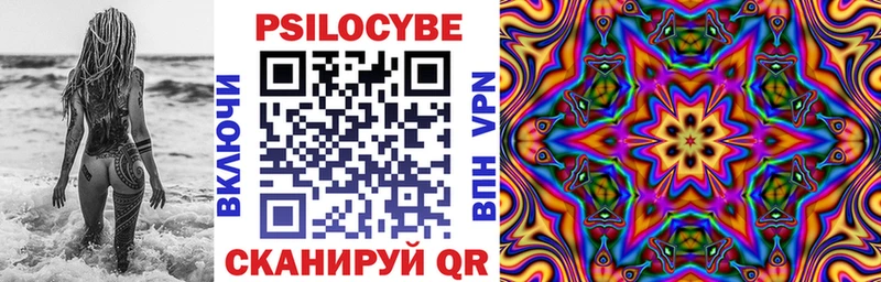 Галлюциногенные грибы Cubensis  Гусиноозёрск 
